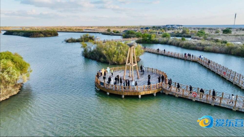 不仅需要选 不仅需要选