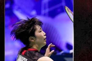 从观众和媒 从观众和媒